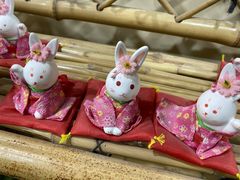 -白兔子密室(长寿路店)