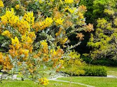 -深圳国际园林花卉博览园