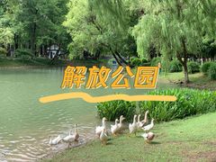-解放公园