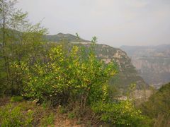 -山西通天峡景区