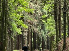 -山王坪喀斯特国家生态公园