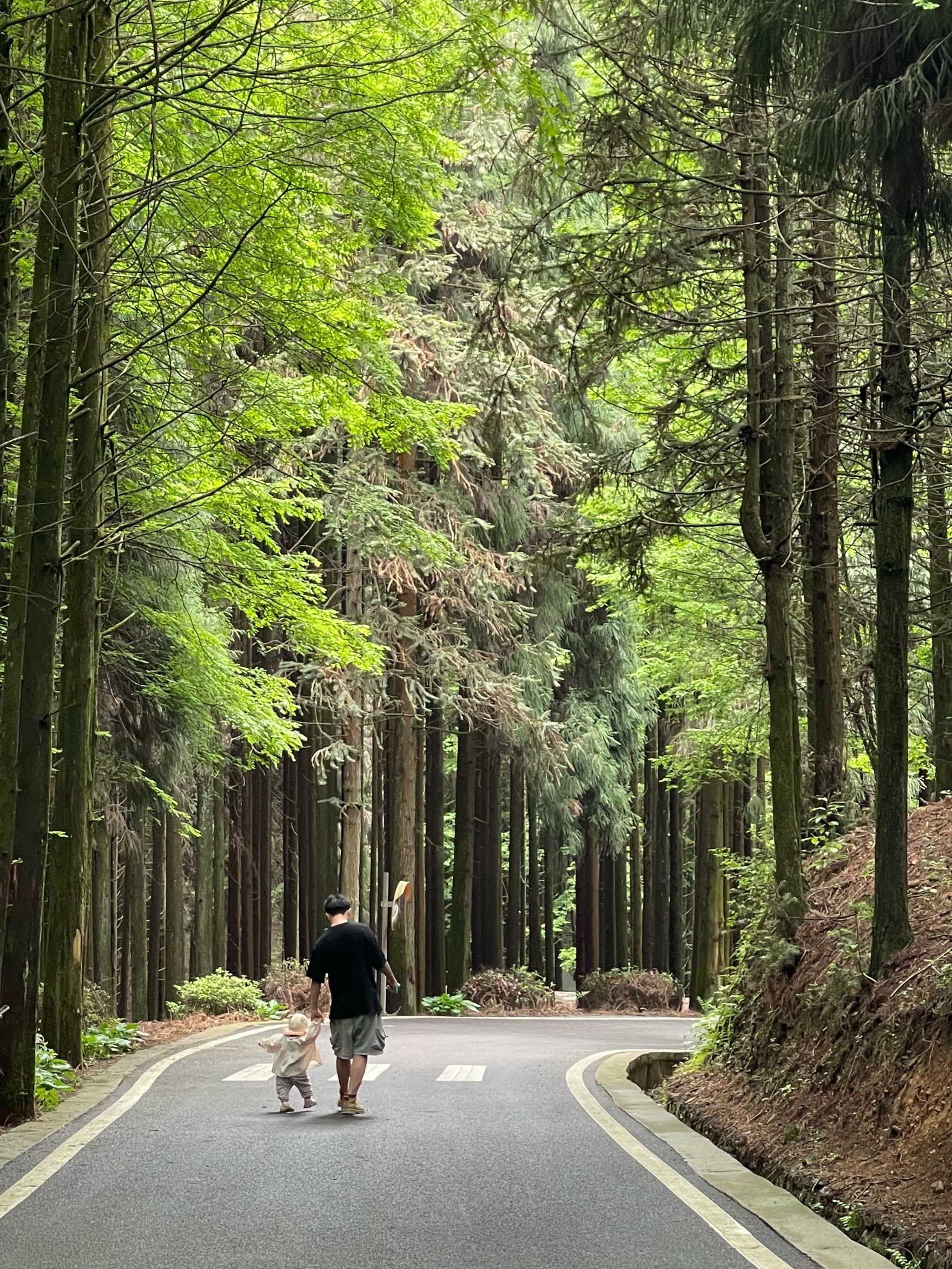 山王坪的树98一定有强迫症吧757575