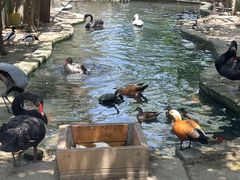 -水绘园