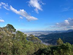 -水濂山森林公园