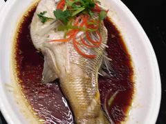 -好妈王饺子(滂江街店)