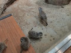 -大连圣亚海洋世界