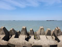 -上海滨江森林公园