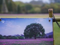 -福建鲤鱼洲酒店