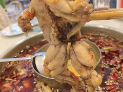 鲜活牛蛙-蛙两只美蛙鱼头火锅(恒茂店)