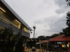 -圣淘沙天际线斜坡滑车