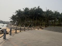 -中澳友谊花园