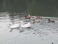 -东华大学(松江校区)