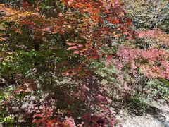 -关门山森林公园
