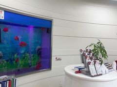 -雅悦齿科(顾村公园店)