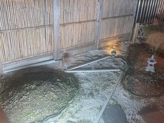 -颂福楼·南京菜(定淮门店)