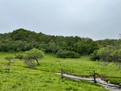 -大水川景区