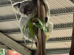 -可伦宾野生动物保护区