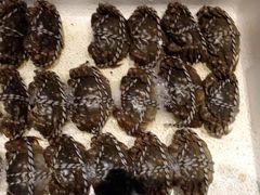 -徽三说·土徽菜·中国徽菜连锁品牌(一中店)