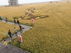 -红海滩国家风景廊道