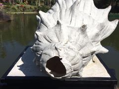 -呀诺达热带雨林