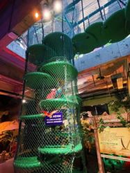 -恐龙探索乐园(磁器口店)