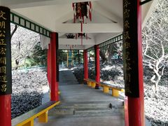 -金鸡山公园