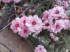 -陶然亭公园