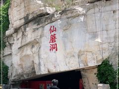 -仙蘑洞