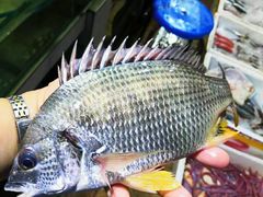 -阳江餐厅·30年老字号·粤菜海鲜大排档