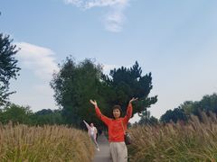 -汉长安城未央宫国家考古遗址公园