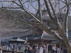 -横山寺
