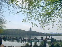 -西湖外事游船(花港观鱼码头)