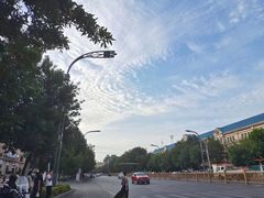 -苏氏牛肉面(北京南路店)