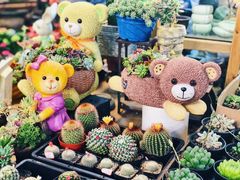 -双季花艺园艺市场(浦东店)