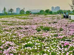 -汉长安城未央宫国家考古遗址公园