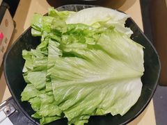 生菜-顺德公广东猪肚鸡·煲仔饭(白石洲店)