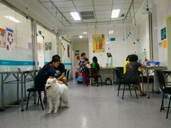 -美联众合动物医院·24h京西诊疗中心
