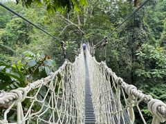 -西双版纳基诺山寨