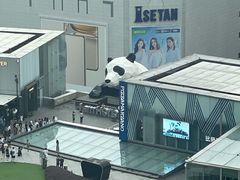 -成都尼依格罗酒店