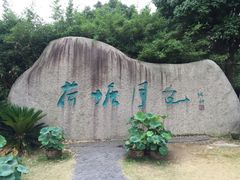 -荷塘月色湿地公园·向阳花洲
