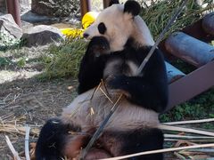 -杭州野生动物世界