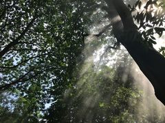 -韶山毛泽东同志故居