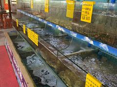 -坛南湾阿强农家乐.海鲜大排档老字号(福州地标美食店)