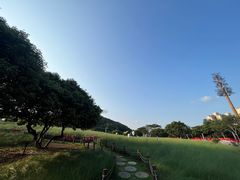 -红花山公园