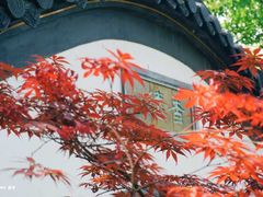 -莫愁湖公园