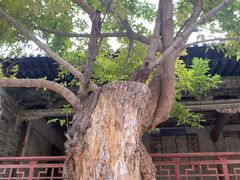 -张掖大佛寺景区