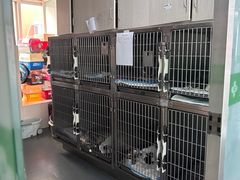 -爱侣宠医·鹦鹉专科·小型哺乳类·异宠专科(灵石路店)