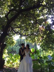 -GO VISION 动视觉婚纱摄影高级定制