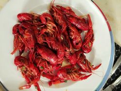 -阳光五洲大酒店·宴会厅