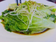 -晋府大酒店